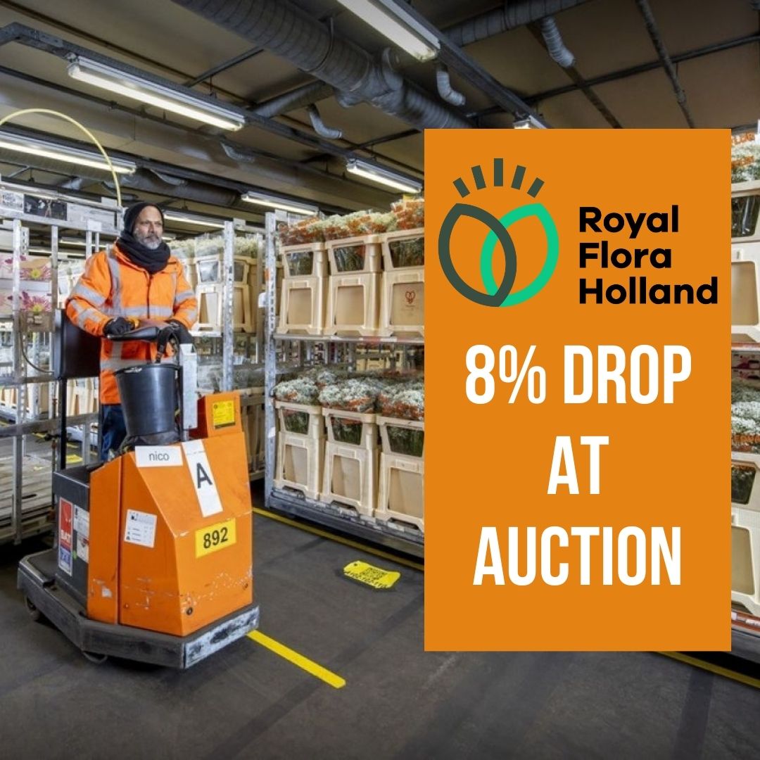 Royal FloraHolland show 8% drop in 2022 sales